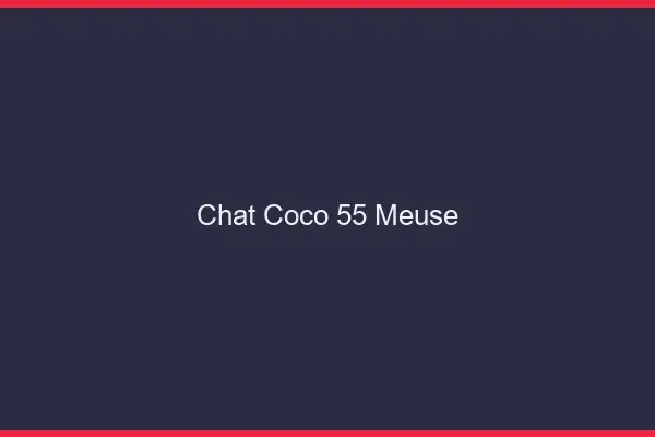 Chat Coco Meuse