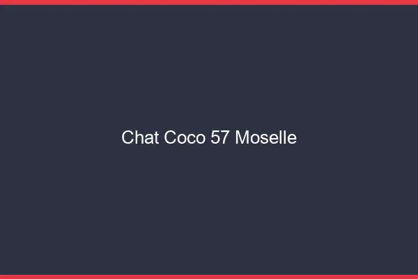 Chat Coco Moselle