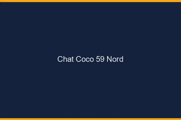Chat Coco Nord