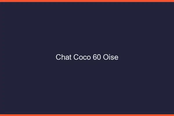 Chat Coco Oise