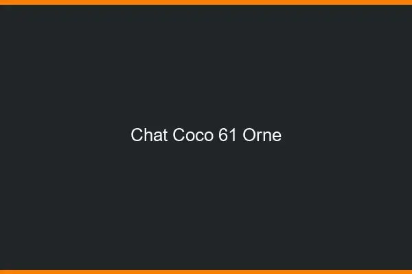 Chat Coco Orne