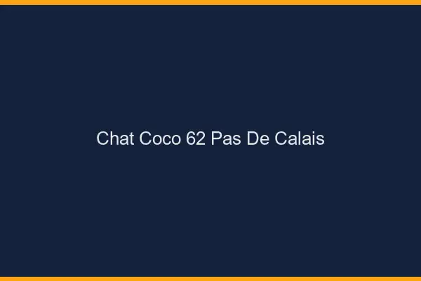 Chat Coco Pas De Calais