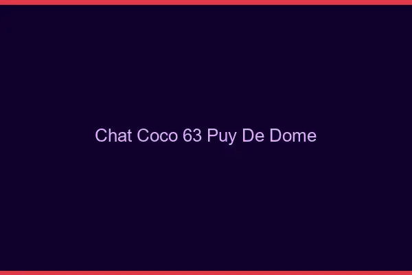 Chat Coco Puy De Dome