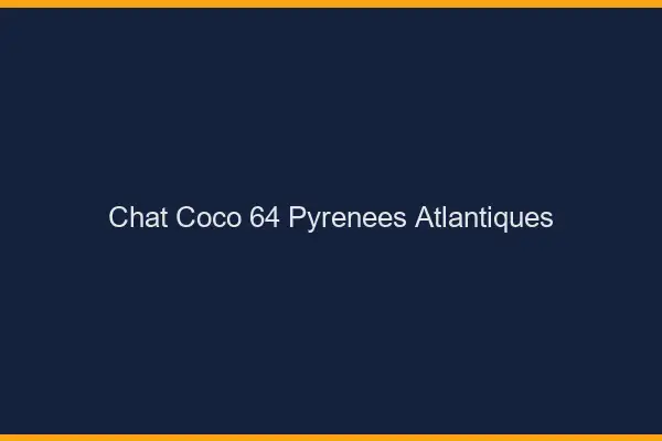 Chat Coco Pyrenees Atlantiques