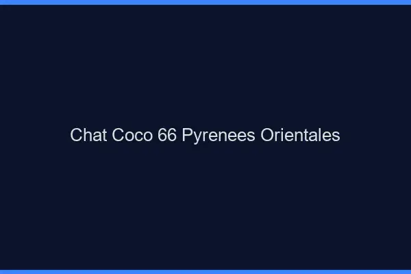 Chat Coco Pyrenees Orientales
