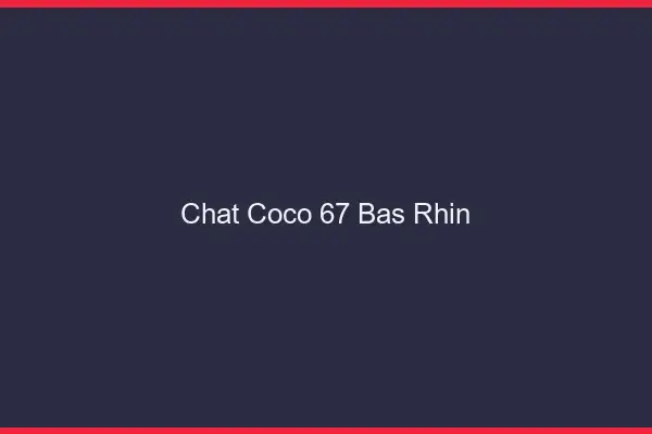 Chat Coco Bas Rhin