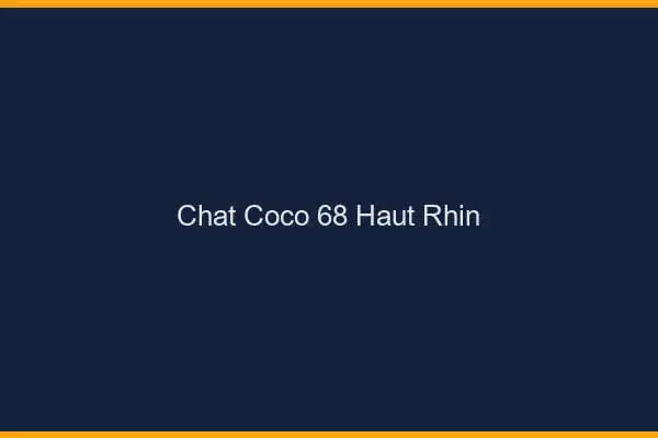 Chat Coco Haut Rhin
