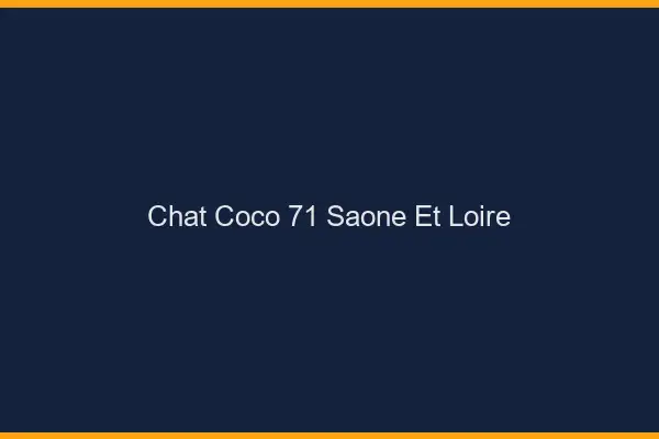 Chat Coco Saone Et Loire