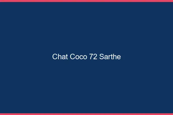 Chat Coco Sarthe