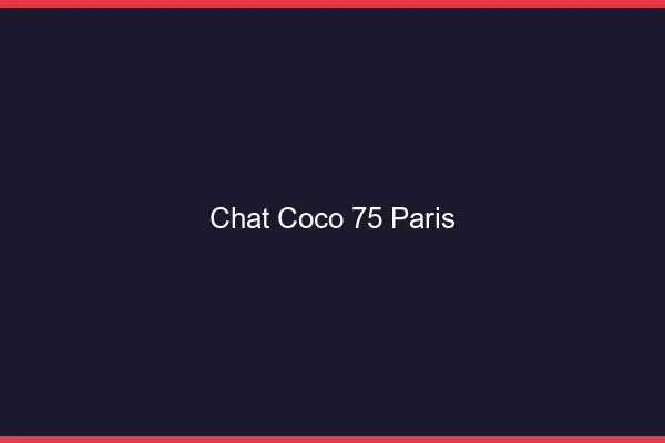 Chat Coco Paris