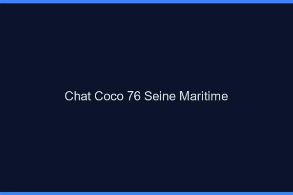 Chat Coco Seine Maritime