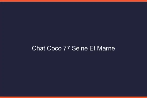 Chat Coco Seine Et Marne