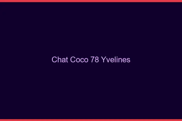 Chat Coco Yvelines