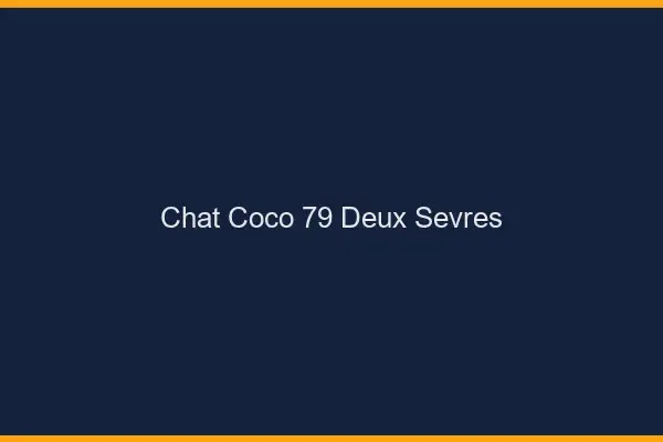 Chat Coco Deux Sevres
