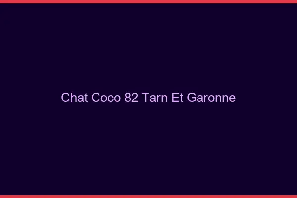 Chat Coco Tarn Et Garonne