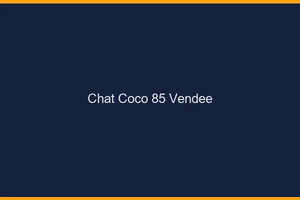 Chat Coco Vendee