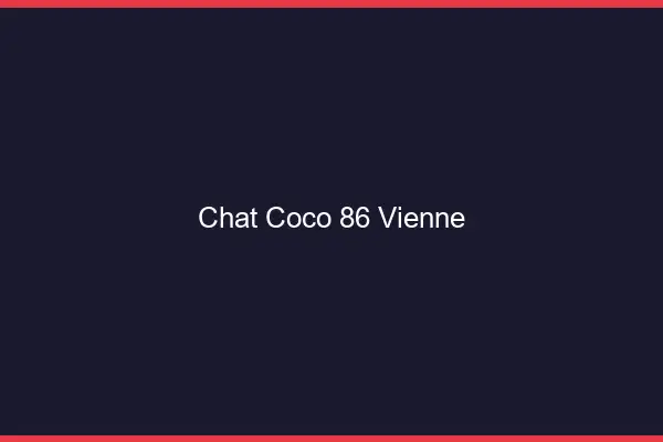 Chat Coco Vienne