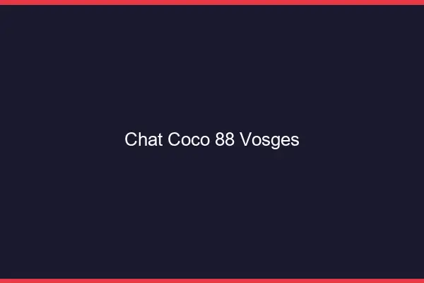 Chat Coco Vosges