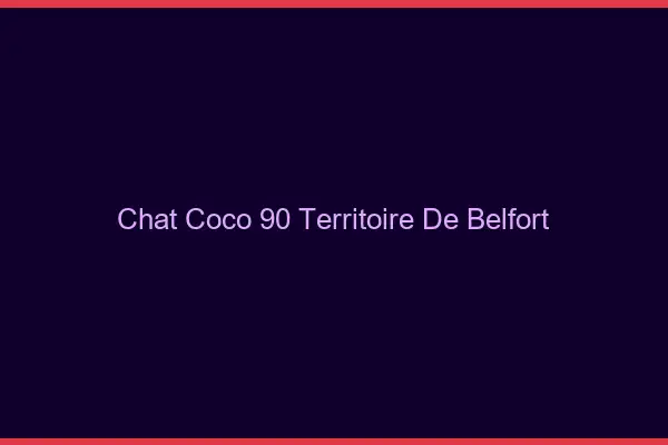Chat Coco Territoire De Belfort