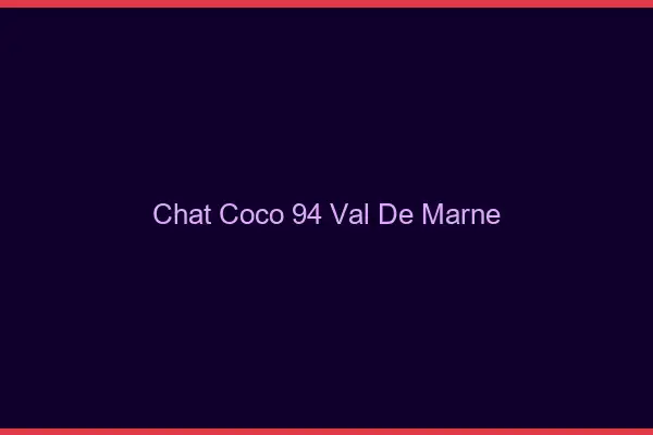 Chat Coco Val De Marne
