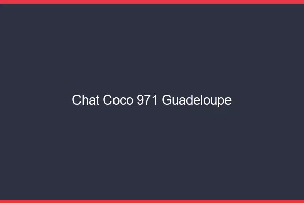 Chat Coco Guadeloupe
