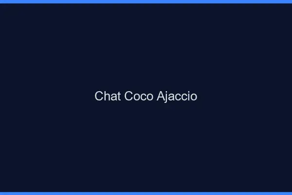 Chat Coco Ajaccio