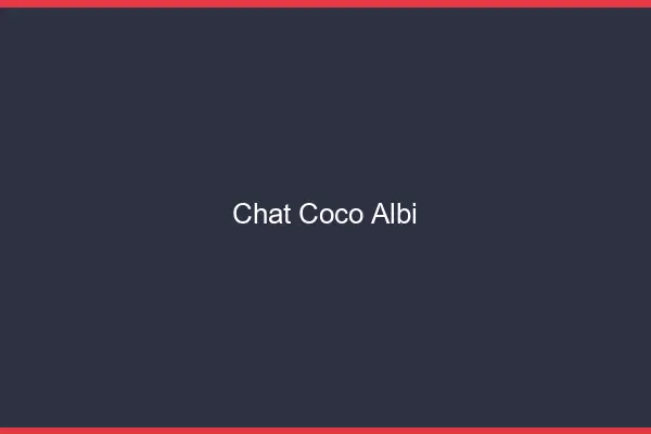 Chat Coco Albi
