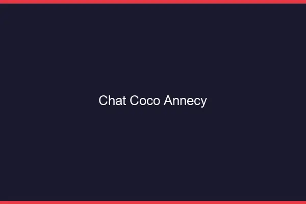 Chat Coco Annecy