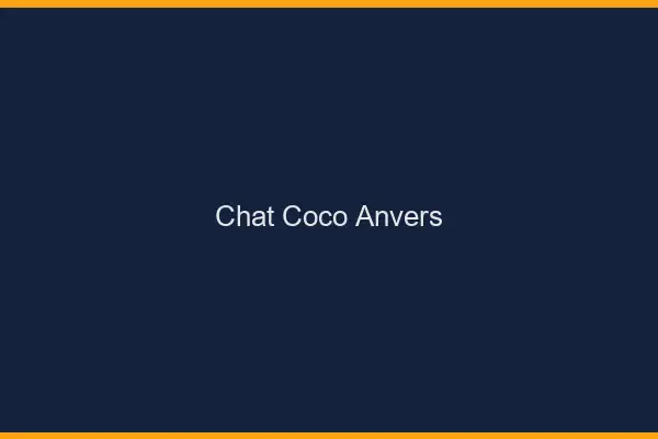 Chat Coco Anvers