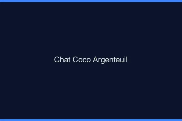 Chat Coco Argenteuil
