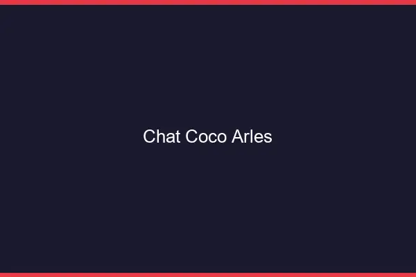 Chat Coco Arles
