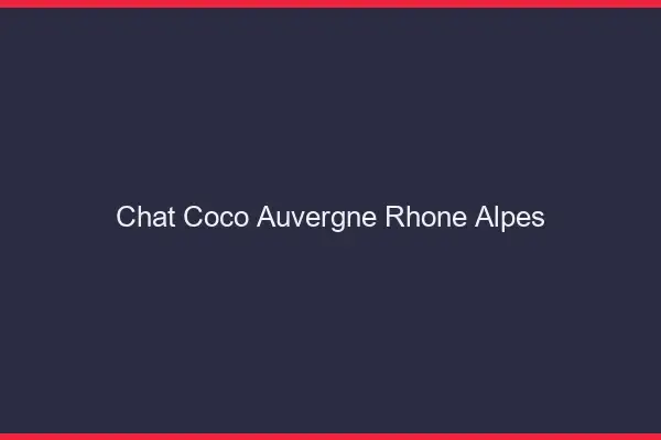 Chat Coco Auvergne-Rhône-Alpes