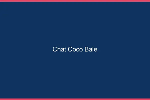 Chat Coco Bâle