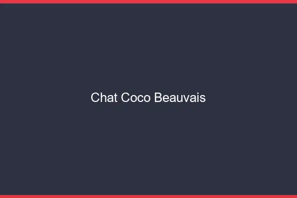 Chat Coco Beauvais