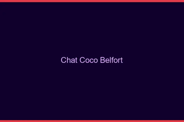 Chat Coco Belfort