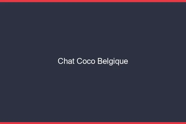 Chat Coco Belgique