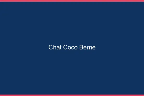 Chat Coco Berne