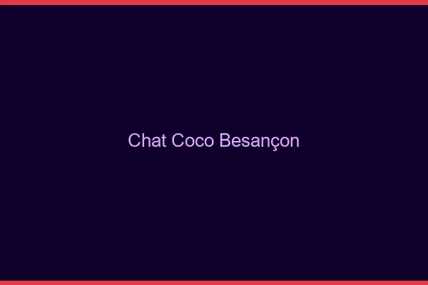 Chat Coco Besançon