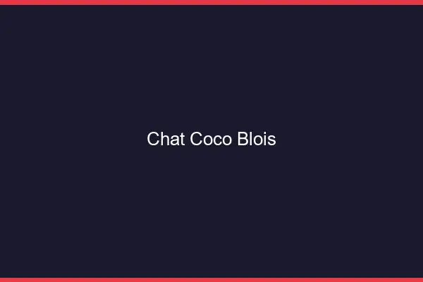 Chat Coco Blois