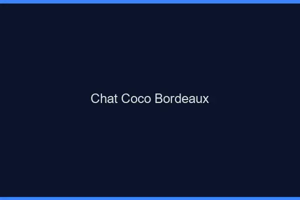 Chat Coco Bordeaux