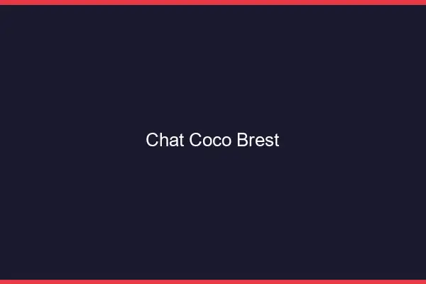 Chat Coco Brest