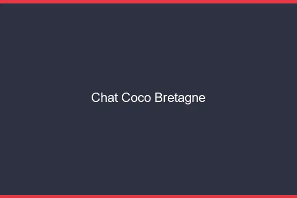 Chat Coco Bretagne