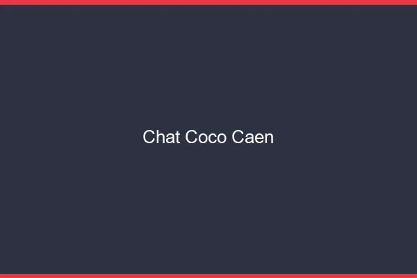 Chat Coco Caen