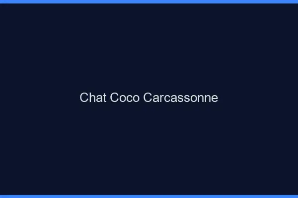Chat Coco Carcassonne