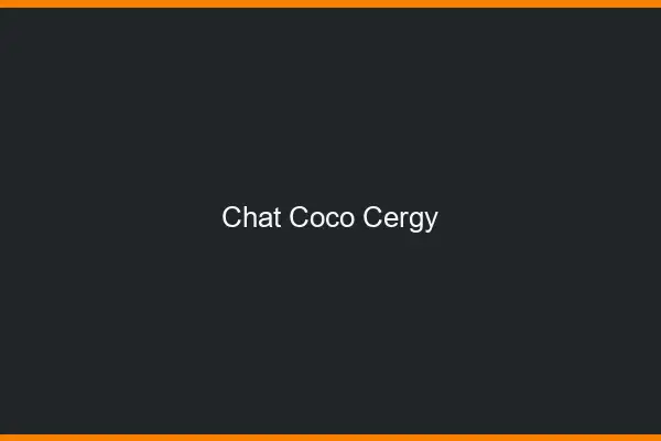 Chat Coco Cergy