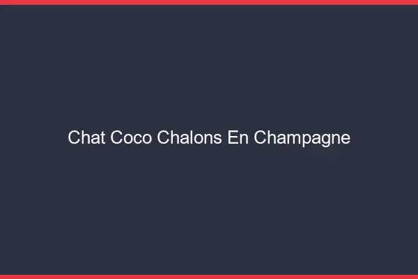 Chat Coco Châlons-en-Champagne