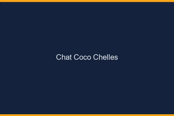 Chat Coco Chelles