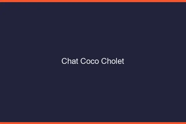 Chat Coco Cholet