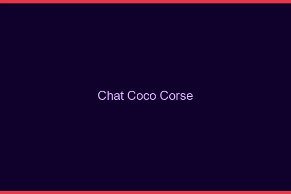 Chat Coco Corse