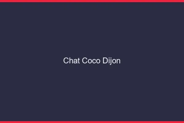 Chat Coco Dijon